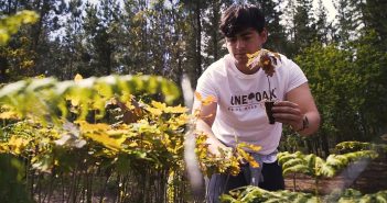 One Oak reforestará 15.000 árboles
