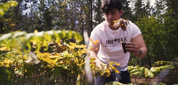 One Oak reforestará 15.000 árboles