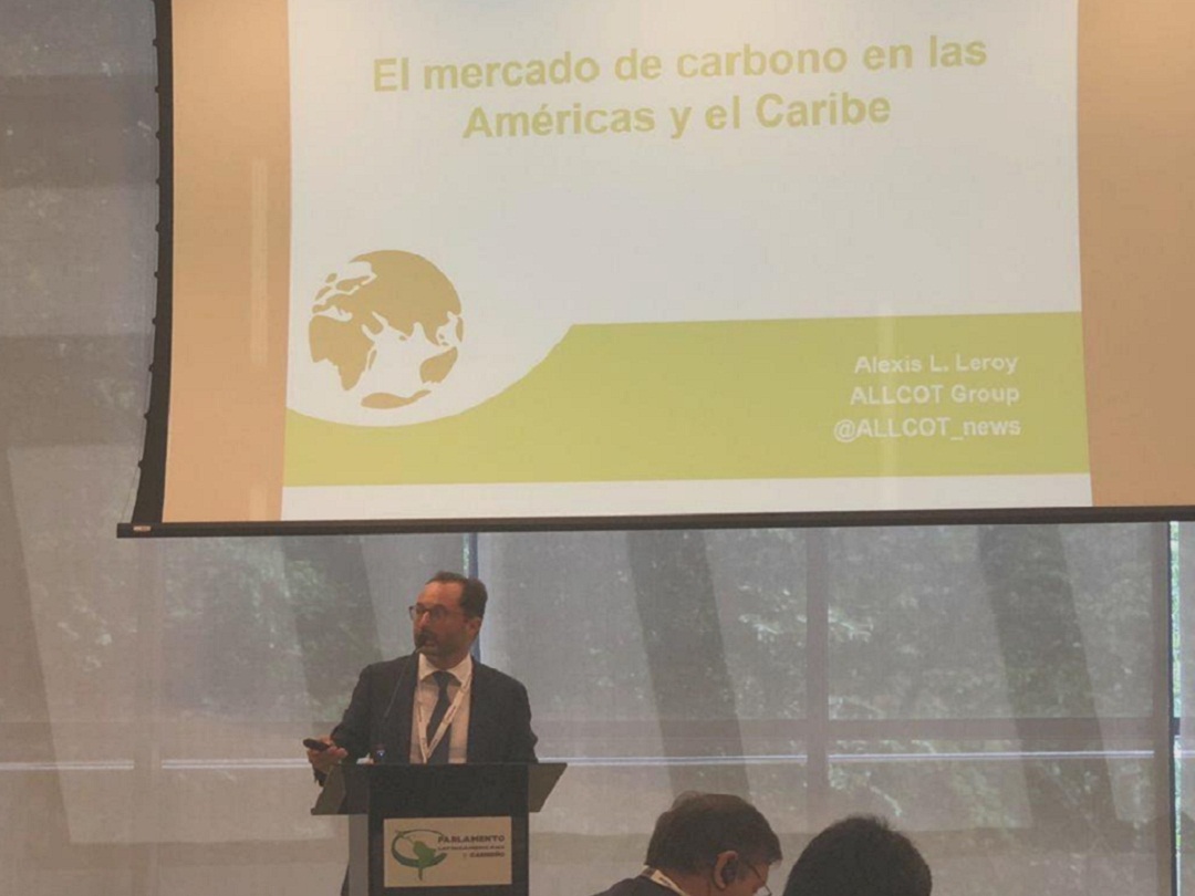 neutralización de carbono