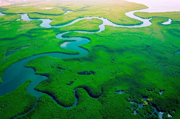 ¡A por el objetivo de cero emisiones CO2! Climate Ambition Accelerator es el acelerador de Pacto Mundial de Naciones Unidas y 76 empresas españolas (450  en todo el mundo) para alcanzar el cero neto