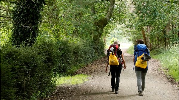 Camino del Reciclaje o como hacer una Ruta Jacobea más respetuosa con el medio ambiente