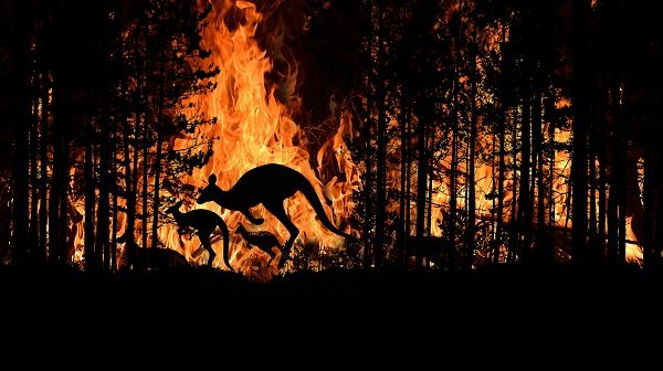 Alerta: Megaincendios forestales