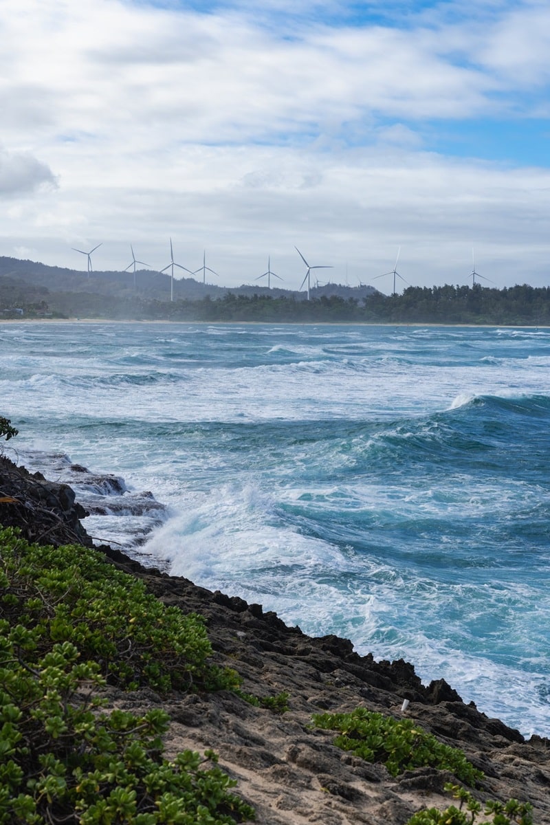 La fuerza del viento en alta mar, una supergeneradora de electricidad no exenta de riesgos ambientales y sociales