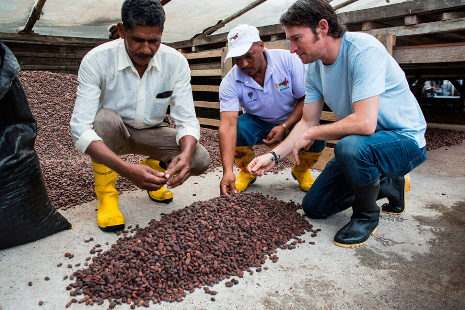 Cacao de Ecuador