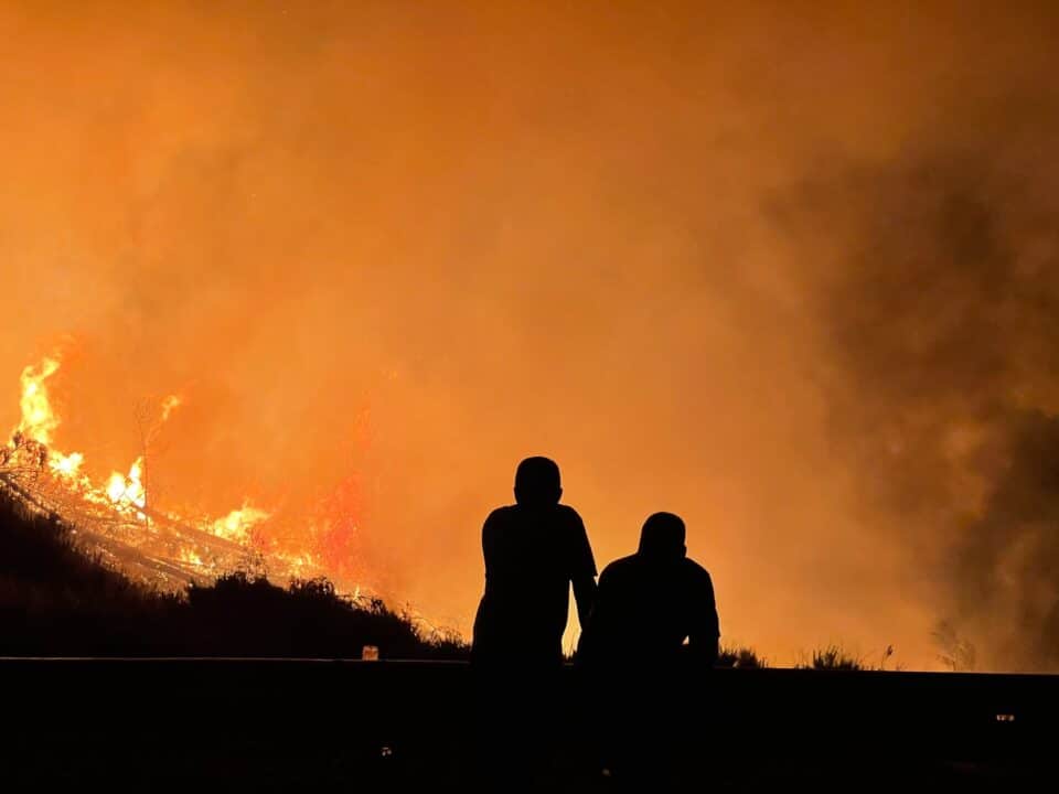 Incendio forestal