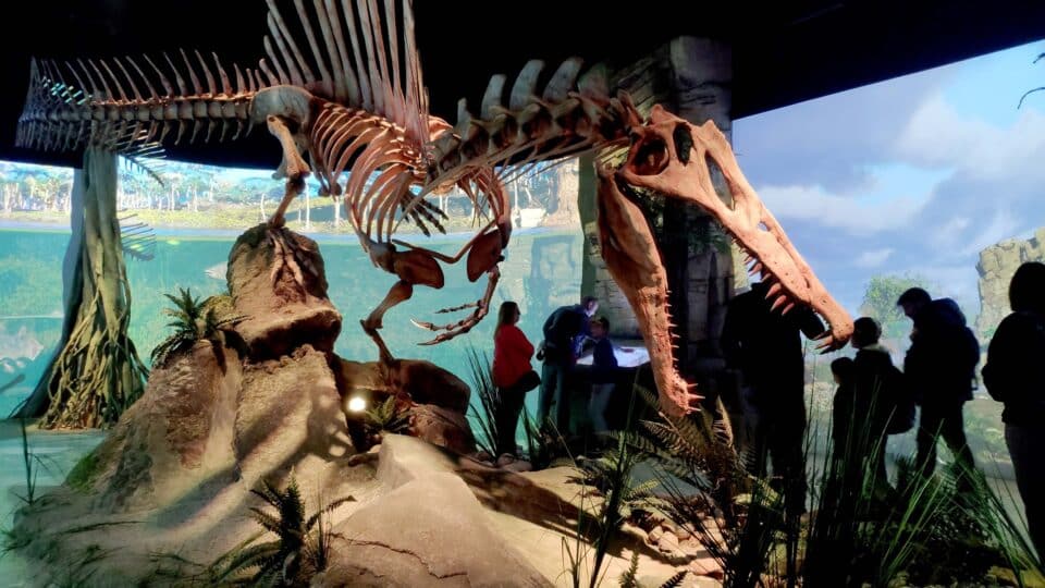 Spinosaurus recorrido temático Mar Jurásico Dinópolis