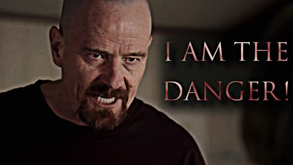 i am the danger