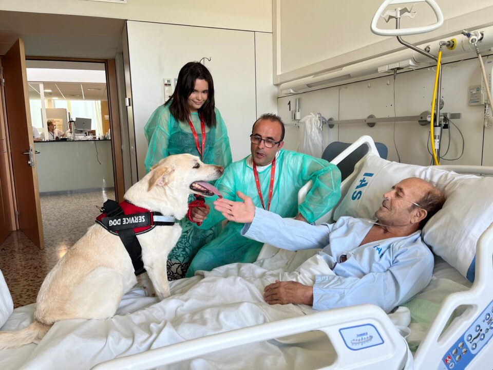 pacientes y perros en el hospital