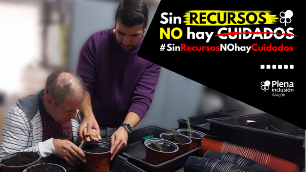 plena inclusión