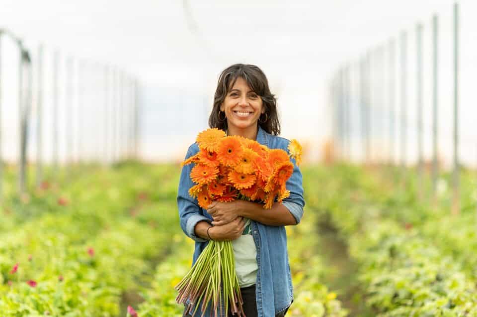 flores solidarias