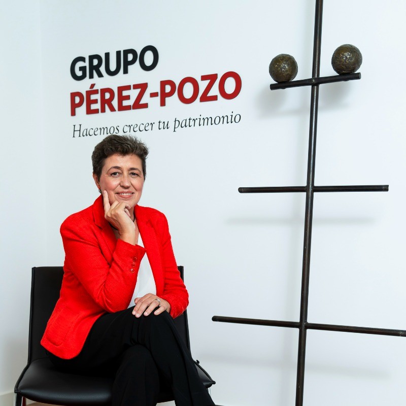 Carmen Pérez-Pozo Toledano, Grupo Pérez-Pozo