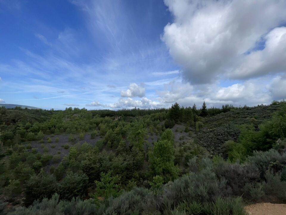 Restauración ambiental de 8,78 hectáreas de superficir en una explotación minera en Bembibre, al este de la Laguna de la Grulla, El Bierzo, León